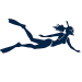 Snorkel_300_300
